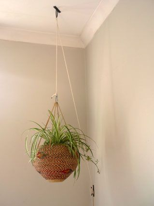 hanging plant holder on a pulley system! Plant Pulley, Hanging Plants Outdoor, Plant Watering System, Hanging Plants Diy, Pulley System, Hanging Plant Holder, Inside Plants, Succulent Terrarium, Hanging Plant