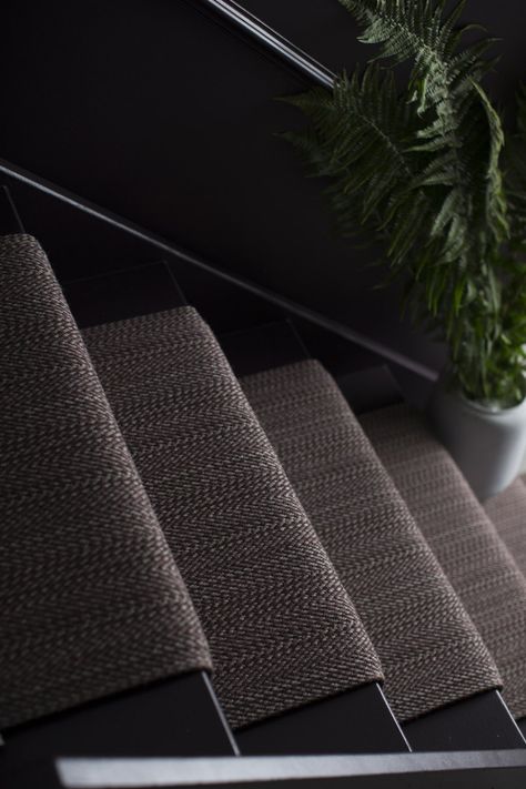 Roger Oates, Dark Staircase, Stairs Runner, Carpet Staircase, Dark Carpet, Staircase Makeover, Abigail Ahern, Afraid Of The Dark, Stair Runner Carpet