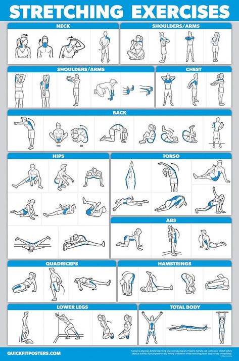 PRICES MAY VARY. Double Sided Poster - Front Vertical - Back Horizontal (same exercises on both sides) High-quality 3 MIL lamination for added durability Tear Resistant 18" x 27" Best Stretching Exercises, Exercise Poster, Stretch Routine, Workout Posters, Workout Chart, Pose Yoga, Stretching Exercises, Cycling Workout, Dumbbell Workout