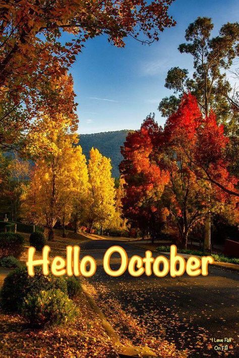 Happy October 1st Images, Happy New Month October, Witchy October, Hello August Images, Hello October Images, October Images, America Flag Wallpaper, Waiting For Halloween, Monthly Pictures