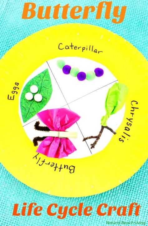 Easy Butterfly Life Cycle Craft, Spring Paper Plate Craft, life cycle of a butterfly activities, butterfly life cycle craft for kindergarten, life cycle of a butterfly project ideas, butterfly life cycle science project, butterfly life cycle preschool lesson plan, Butterfly life cycle project, Butterfly Crafts, Spring Preschool Theme, Science Activity, Preschool Science, Kindergarten Science #Science #crafts #springcrafts #butterflyactivities #butterflycrafts Butterfly Life Cycle Project, Butterfly Life Cycle Preschool, Butterfly Cycle, Science Crafts For Kids, Butterfly Activities, Science Kindergarten, Life Cycles Preschool, Butterfly Life Cycle Activity, Butterfly Life Cycle Craft