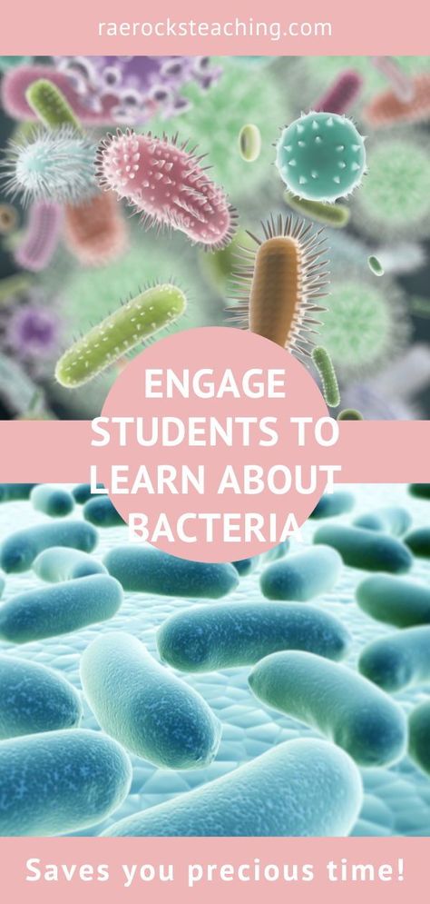 Each semester during the Taxonomy and Classification unit I have my students learn “What are the effects of Bacteria?” Read my blog post for a creative way to get students intrigued to learn more about bacteria. . harmful effects of bacteria microbial research topics where can bacteria live what bacteria do bacteria research project Bacteria And Viruses Activities, Biology Games, Biology Ideas, Biology Activity, Research Topics, Biology Classroom, High School Activities, Middle School Lessons, Biology Lessons