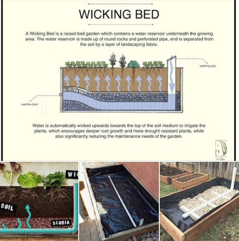 Pin on Prepping to Live in an Off-Grid World Wicking Garden Bed How To Make, Wicking Beds How To Make, Self Watering Raised Garden Beds, How To Build A Raised Garden Bed, Portable Raised Garden Beds, Portable Garden Beds, Raised Bed Irrigation, Watering Raised Garden Beds, Wicking Garden Bed