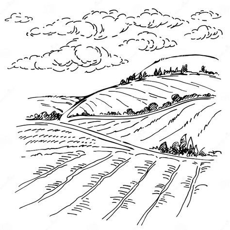 Landscape Ink Sketch Drawing. Rural Mediterranean Engraved Landscape with Plowed Fields, Cypresses and Pine Tree Stock Vector - Illustration of doodle, harvest: 163994276 Pine Tree Illustration, Field Drawing, Field Sketch, Bird Sketch, Hand Drawn Map, Tree Sketches, Landscape Sketch, Countryside Landscape, Hand Drawn Vector Illustrations