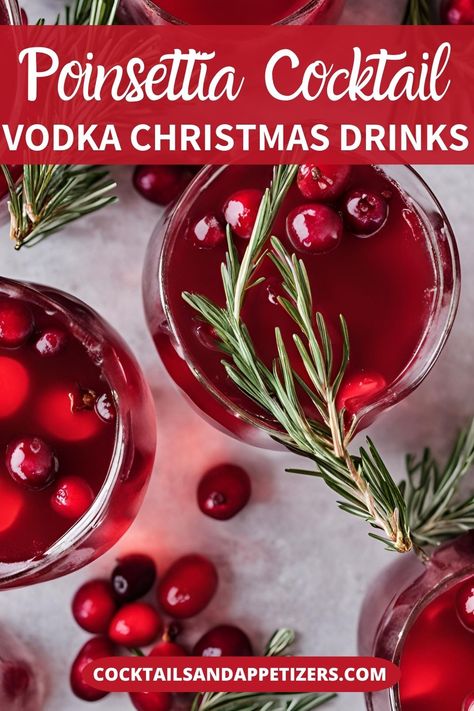 A pretty signature drink for Christmas parties, this Poinsettia cocktail recipe uses vodka and champagne or prosecco. Easy to make by the glass or pitcher, this alcoholic drink is a great cocktail for a crowd. Prosecco And Vodka Cocktails, Pointsetta Cocktail, Christmas Signature Drinks, Easy Christmas Cocktails For A Crowd, Signature Christmas Drink, Vodka Christmas Drinks, Poinsettia Drink, Cocktail For A Crowd, Poinsettia Cocktail