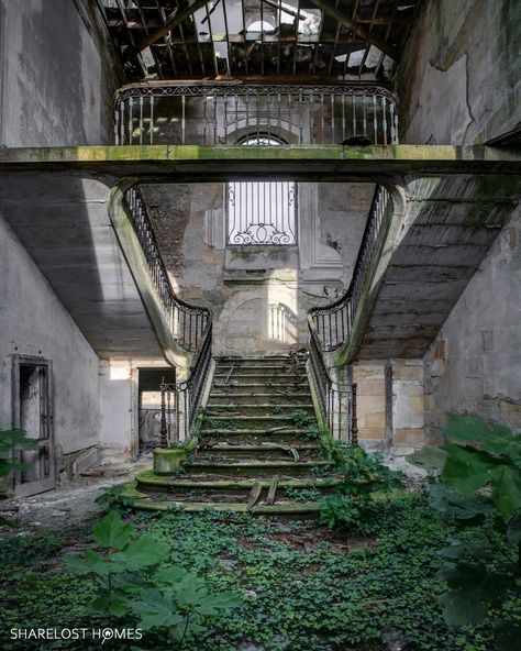 The jungle staircase 🌿⤵️ 🌿🏰🌿 Sharelost Homes stood before the crumbling, moss-covered staircase deep within the abandoned castle, the damp air thick with mystery. The once-grand steps were now draped in layers of greenery, their edges blurred by years of neglect, leading into the dark recesses of a forgotten wing. Homes began his ascent, certain the forgotten staircase would lead them to the heart of the mystery haunting the castle’s ruins. 🔎🔎🔎🔎🔎🔎🔎🔎🔎🔎 #abandonedplaces #overgrown #nature_t... Covered Staircase, Overgrown Nature, Crumbling Castle, Overgrown Ruins, Abandoned Manor, Moss Covered, Abandoned House, Abandoned Houses, The Castle