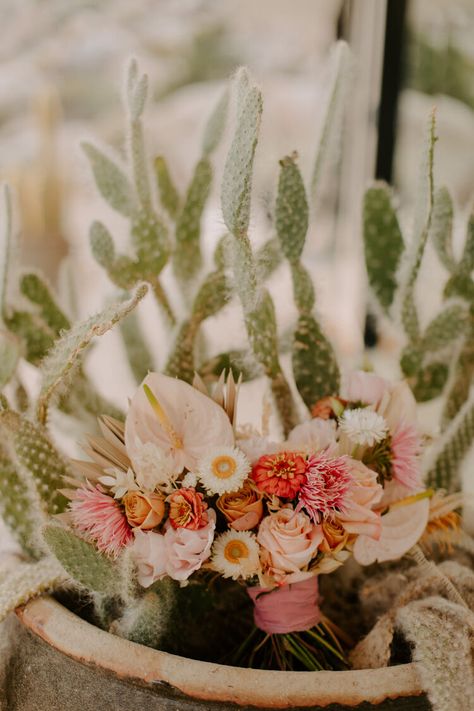 Intimate Joshua Tree Wedding in a Bohemian Airbnb — Brianna Broyles Joshua Tree Theme Party, Bohemian Airbnb, Spring Desert Wedding, Desert Wedding Decor, Showcase Ideas, Desert Spring, Shower 2023, Succulent Wedding Decor, Desert Bride