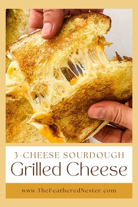 sourdough grilled cheese sandwich cut in half Sourdough Sandwich Recipes, Sourdough Grilled Cheese, Smoked Pork Tenderloin, Ultimate Grilled Cheese, Perfect Grilled Cheese, Grill Cheese Sandwich Recipes, Cheese Sandwich Recipes, Sourdough Sandwich, Toasted Bread