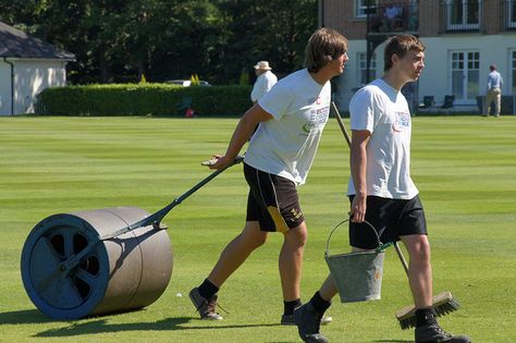 7 Great Benefits to Why Use a Lawn Roller - Grow Gardener Blog Lawn Striping, Lawn Roller, Boarding School Aesthetic, Lawn Rollers, Planting Grass, Easy Landscaping, Healthy Garden, Grass Seed, Boarding School