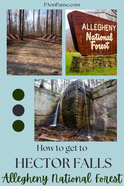 Discover the natural beauty of Hector Falls in the Allegheny National Forest with this guide. Get our tips and directions to ensure a great hike to this waterfall in the Pennsylvania wilderness! Allegheny National Forest, North Country Trail, Backpacking Trails, Pennsylvania Travel, Pocono Mountains, Forest Road, Fall Hiking, National Parks Trip, Us National Parks