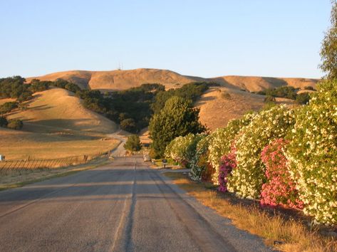 morgan hill hills in the summer - a memory Morgan Hill California, Morgan Hill, Home City, California Landscape, One Step Closer, City House, Eco Friendly House, Santa Clara, California Travel