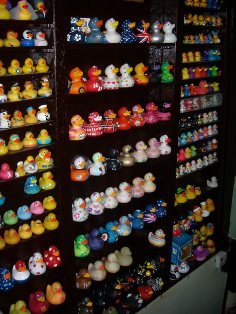 This is the type of display I need for my ducks! Rubber Ducky Collection, Rubber Duck Collection Display, Rubber Duck Collection, Rubber Duck Display, Rubber Duck Bathroom, Duck Bathroom, Duck Collection, Ducky Duck, What The Duck