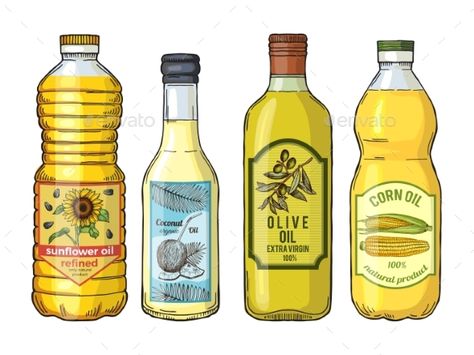 Labels for different oils. Sunflower, olive, corn and coconut. Vector pictures set. Bottle oil sunflower and coconut illustration Ingredients Illustration, Coconut Illustration, Oil Illustration, Coconut Vector, Cooking Corn, Oil Drawing, Fats And Oils, Fat Food, Bottle Drawing