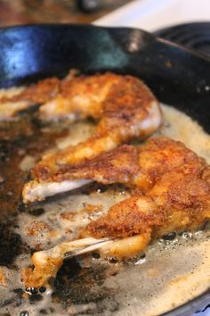 Gator Recipe, Frog Legs Recipe, Fried Frog Legs, Quail Recipes, Italian Wife, Red Lobsters, Fried Lobster, Cajun Dishes, Biggest Fear