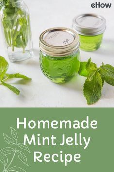 Canning Mint Jelly, How To Make Mint Jelly, Mint Infused Honey, How To Preserve Fresh Mint Leaves, Mint Jam Recipe, Mint Jelly Uses, How To Use Fresh Mint, Things To Do With Fresh Mint, Recipes Using Mint Leaves