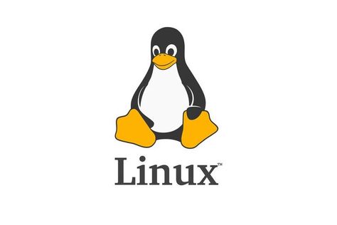 learn everything about linux command by visiting https://jaridaa.com/ Learn Hacking, Arte Ninja, Linux Operating System, Ios Apple, Linux Kernel, Market Analysis, 3d Paper Crafts, Shirt Print Design, Business Opportunity