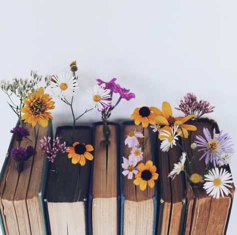 An Open Book, Bookstagram Inspiration, Book Flowers, Open Book, Book Photography, Book Aesthetic, Aesthetic Photography, Wall Collage, Pretty Flowers