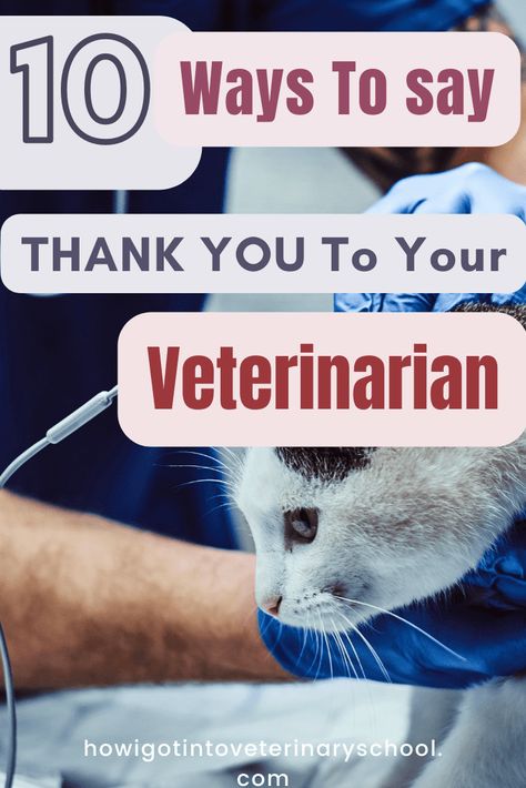 Thank You Veterinarian Quotes, Diy Veterinary Gifts, Quotes For Veterinarians, Vet Appreciation Gift, Gift Ideas For Veterinarian, Vet Tech Appreciation Week Ideas Diy, Vet Gifts Ideas Veterinarians, Gift For Veterinarian, Veterinarian Gifts Ideas