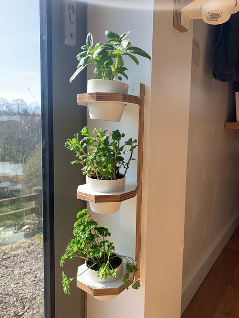 Living Wall Art, Vertical Planter, Garden Frame, Inside Plants, Indoor Herb Garden, Plant Decor Indoor, Small Succulents, House Plants Decor, Small Planter