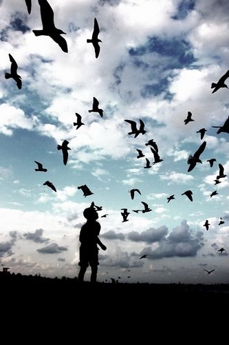 Love Silhouette, Shadow Silhouette, Silhouette Photography, Flock Of Birds, A Hill, Birds Flying, Sky Photography, Beautiful Photography, Enchanted