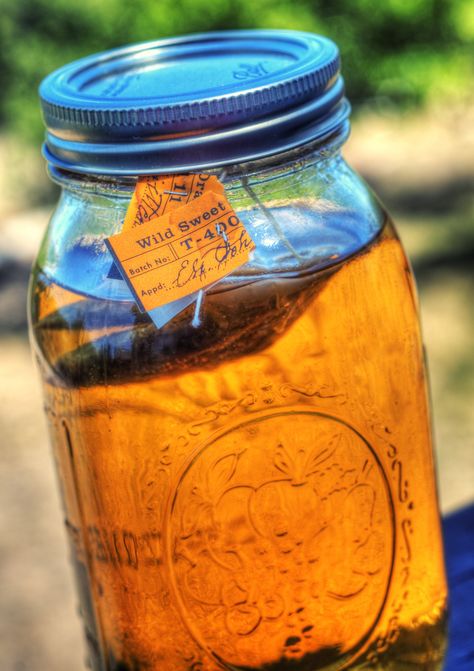 Blackberry Tea, Unsweetened Iced Tea, Homemade Iced Tea, How To Make Green, Fermented Tea, Sun Tea, Porch Rocker, How To Make Greens, Dehydrated Fruit