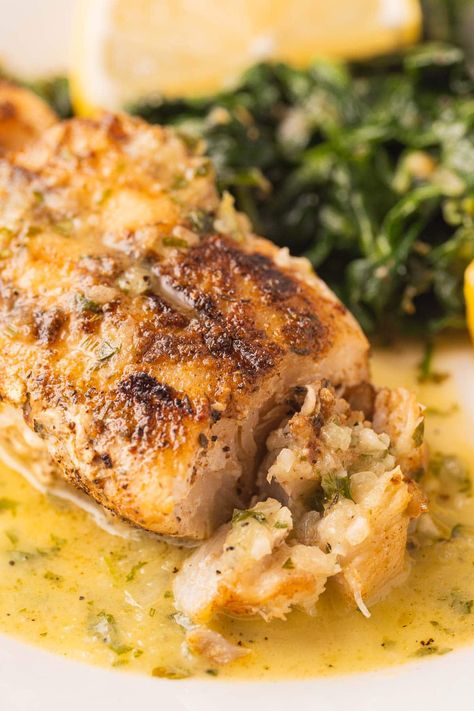 Grouper Fish Recipes, Blackened Grouper, Baked Grouper, Lemon Herb Sauce, Grilled Grouper, Grouper Recipes, Fish Recipes Baked, Herb Sauce, Shellfish Recipes