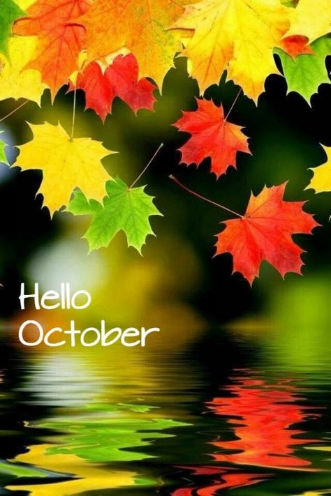 Background Image Via  It’s October! And I am so glad. September was a rough… Autumn Leaves Background, Charcoal Drawings, Autumn Scenes, Autumn Beauty, Fall Pictures, Fall Wallpaper, Colorful Leaves, Fall Foliage, In Water