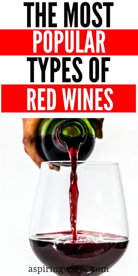 Types Of Red Wine, Wine Chart, Grapes Wine, Types Of Red, Best Red Wine, Wine Knowledge, Wine Grapes, Wine Education, Wine Party