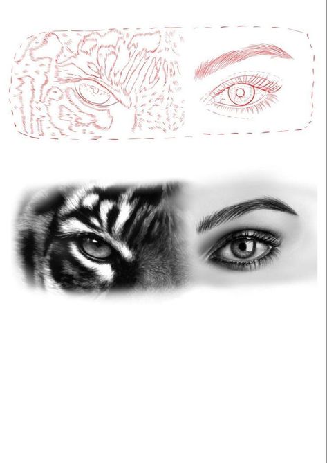 Tiger Eye Stencil, Tattoo Stencils Shading, Tiger Eye Tattoo Stencil, Tattoo Stencil Outline With Shading, Women Eye Tattoo, Eye Stencil Tattoo, Tiger Eyes Tattoo Stencil, Tiger Eyes Tattoo Design, Portrait Tattoo Stencil