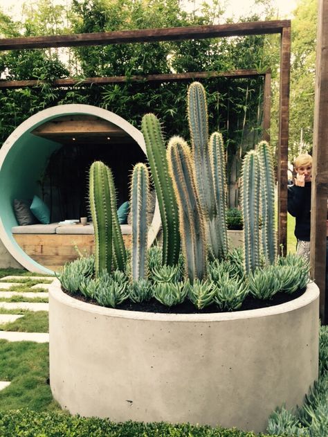 Circular Planter Ideas, Curved Garden Planters, Curved Planter, Large Concrete Bowl Planter, Round Concrete Planter, Brick Planter, Mexican Garden, Cinder Block Garden, Deck Designs Backyard