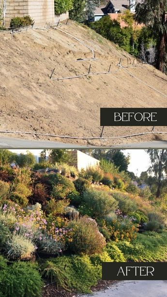 Sloped Landscaping, Dirt Locker, Sloped Backyard Landscaping, Landscaping A Slope, Landscaping On A Hill, Sloped Yard, Hillside Garden, Sloped Backyard, Hillside Landscaping