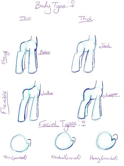 Female Body Types, Pony Reference, Игрушки Funko Pop, Body Types Women, Reference Sheet, My Little Pony Drawing, My Little Pony Characters, Mlp Pony, Pony Drawing