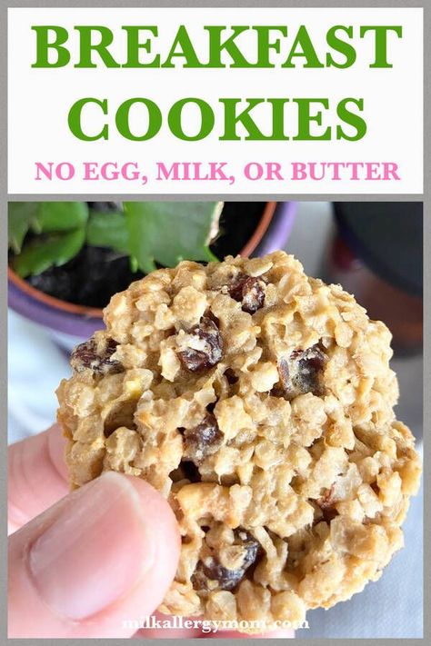 Wheat Free Snacks, Easy Breakfast Cookies, Cookies No Flour, Idea For Breakfast, Gluten Free Dairy Free Breakfast, Milk Allergy Mom, Egg Free Desserts, Egg Free Breakfast, Dairy Free Pancakes