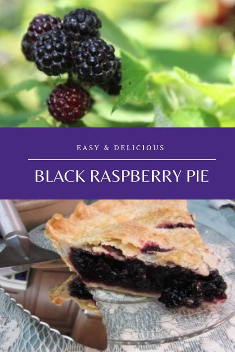 Black Raspberry Pie Recipe, Wild Berry Pie, Raspberry Pie Filling Recipes, Black Raspberry Recipes, Black Raspberry Pie, Raspberry Pie Recipe, Raspberry Pie Filling, Learn To Bake, Black Raspberries