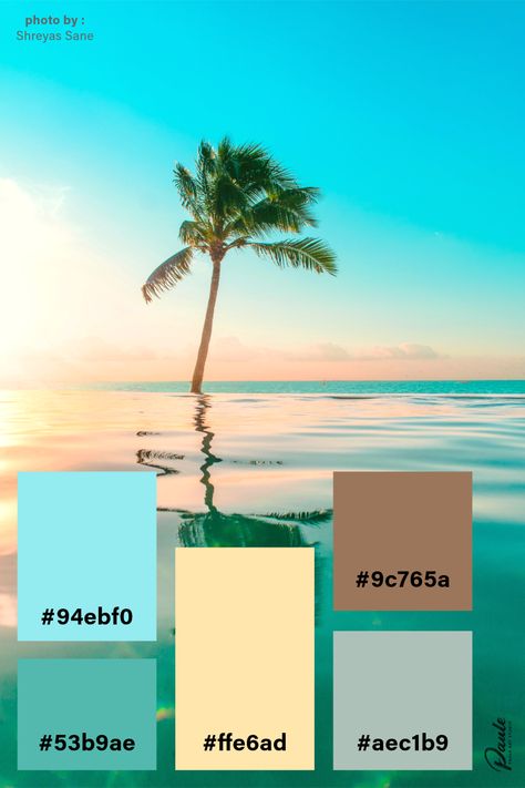 #colorpalette #palette #color #colorscheme #colorswatch #colourpalette #colorinspiration #inspiration #graphicdesign #branding #design #hexcode Hawaiian Colors, Palette Color, Google Calendar, Digital Planning, Color Swatch, Colour Palette, Color Palettes, Color Inspiration, Briefs