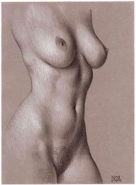 Painting Of Female Anatomy, Womens Anatomy Drawing, Hot Drawings On Paper, Art Sketches Women Body Drawing, Womans Body Sketches, Women Sketches Pencil, Womens Silhouette Drawing, Grey Paper Drawing, Nude Anatomy Drawing