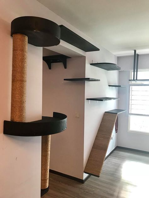 Testimonials: Catification — The Cat People (SG) Diy Cat Shelves, Cat Room Decor, Cat Climbing Wall, Katt Grejer, Cat Bedroom, Cat Wall Shelves, Cat Wall Furniture, Cat House Diy, Cats Diy Projects