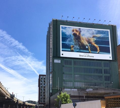 An example from Apple's shot on iphone campaign. Photos Of The Beach, Apple Shots, Shot On Iphone, Ad Of The World, Technology Industry, Ads Of The World, Media Campaign, Advertising Signs, Creative Advertising