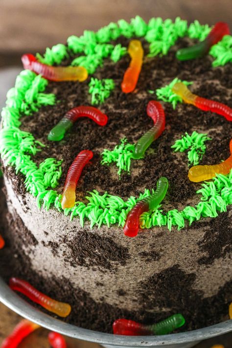 Dirt Cake With Gummy Worms, Oreo Dirt Cake, Moist Chocolate Cake Recipe, Amazing Chocolate Cake, Dirt Cake Recipes, Chinese Chicken Salad Recipe, Chocolate Cake Recipe Moist, Amazing Chocolate Cake Recipe, Chinese Chicken Salad