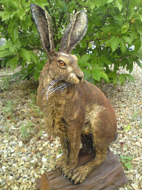 Hare Sculpture, Rabbit Sculpture, Pottery Animals, 3d Figures, Sculptures Céramiques, Rabbit Art, Bunny Art, Clay Animals, Pottery Sculpture