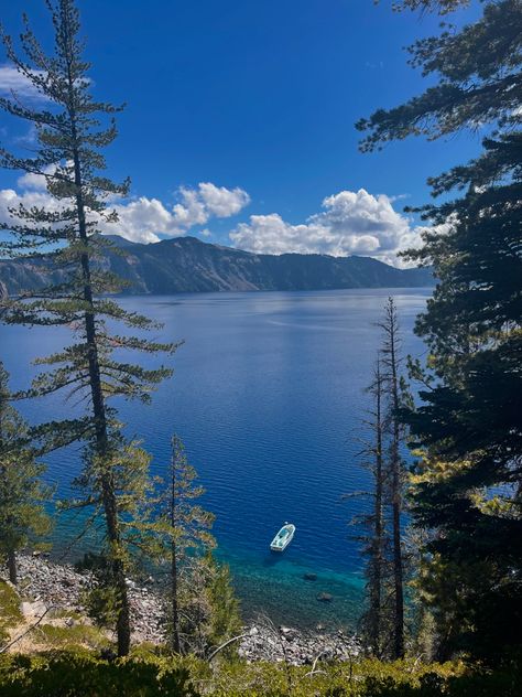 beautiful place to hike in oregon Beachy Backgrounds, Oregon Scenery, Oregon Aesthetic, Oregon Lakes, Oregon Summer, Forest Fall, Crater Lake Oregon, Forest Falls, Oregon Life