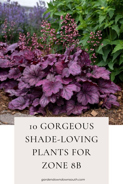 Discover a variety of shade-loving plants that thrive in low-light conditions. From elegant Astilbes to vibrant Bleeding Hearts, explore the beauty and versatility of shade gardening. Create a lush and colorful garden in shady spots with our expert tips and recommendations. Embrace the charm of shade-loving plants and transform your outdoor space into a botanical sanctuary. Colorful Shade Garden, Plants For Shade Outdoors, Shade Loving Plants, Zone 8b, Small Backyard Garden Design, Sloped Backyard Landscaping, Shade Garden Design, Shade Gardening, Edging Plants