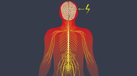 Vague Nerve, De Stressing Yoga, Nerf Vague, Vagus Nerve, Migraine, Yoga Meditation, Meditation