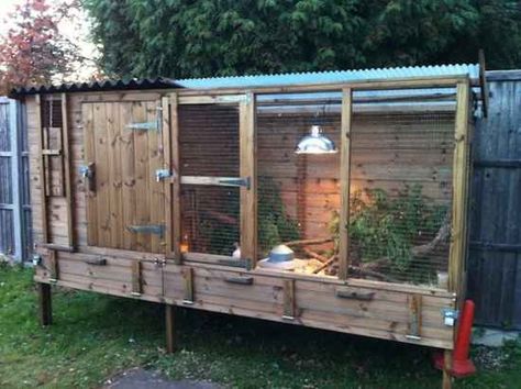 18 DIY Quail Hutch Ideas And Designs Quail Coop Ideas Diy, Quail Hutch, Quail Pen, Quail House, Raise Quail, Goat Playground, Button Quail, Quail Coop, Hutch Ideas