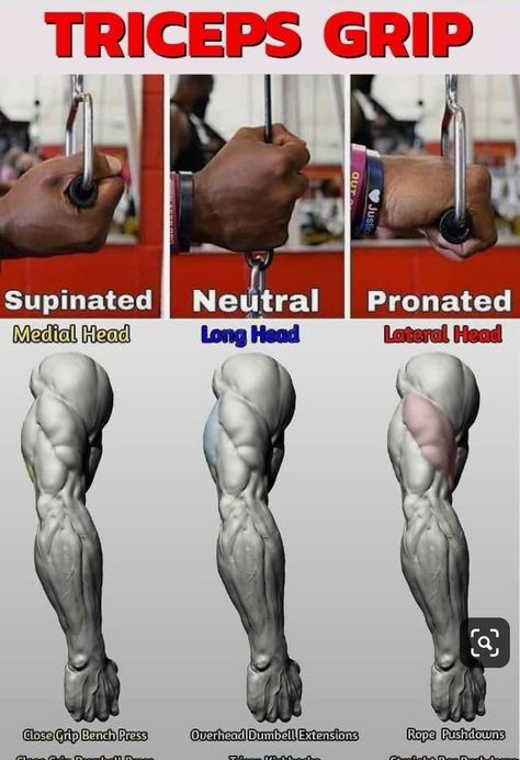 Gym Workout Chart, Trening Fitness, Weight Training Workouts, Popular Workouts, Training Workouts, Workout Chart, Triceps Workout, Body Workout Plan, Chest Workouts