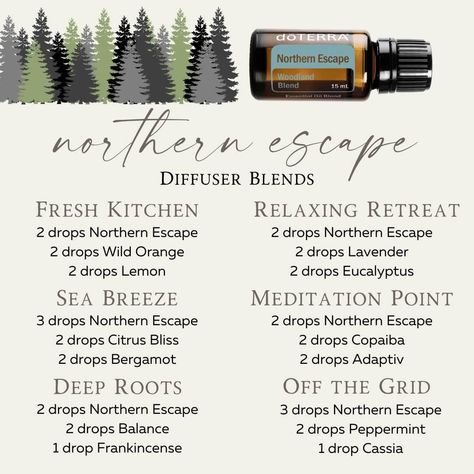 Northern Escape Diffuser Blend, Rollerball Recipes, Doterra Diffuser, Northern Exposure, Oil Diffuser Recipes, Essential Oil Diffuser Recipes, Diffuser Recipes, Wild Orange, Diffuser Blends