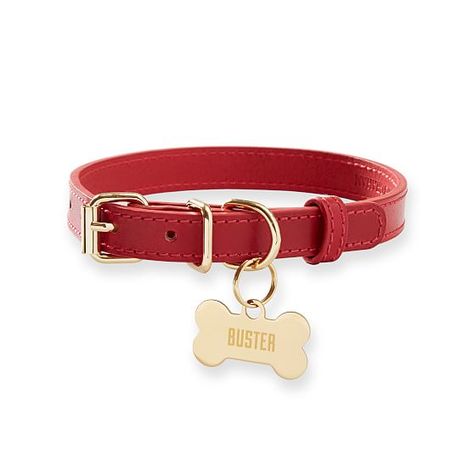 Unique Dog Collars, Velvet Dog Collar, Red Dog Collar, Luxury Dog Collars, Cute Dog Collars, Designer Dog Collars, Girl Dog Collars, Custom Dog Collars, Personalized Dog Collars