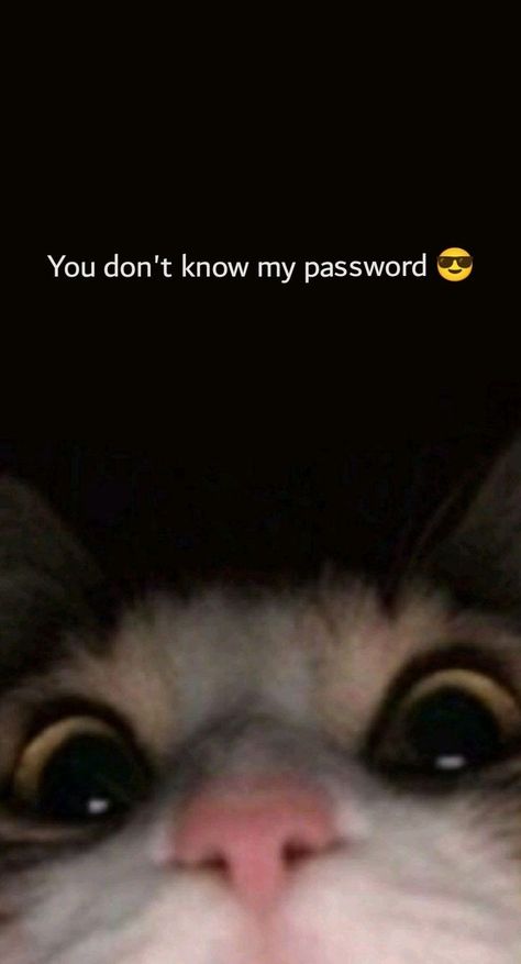 Haha You Dont Know My Password Wallpaper For Ipad, I See You Trying To Get Into My Phone, Why Are You Looking At My Phone, 3d Lockscreen Black, You Dont Know My Password Wallpapers, Cool And Funny Wallpapers, Backgrounds For Girls, Don't Touch My Phone Wallpapers, Don't Touch My Phone Wallpapers Cute