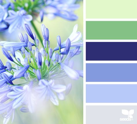 { flora hues } image via: @derkleineklecks Periwinkle And Green Color Palette, Periwinkle Color Combinations, Periwinkle Color Palette, Color Palette For Home, Color Thesaurus, Drawing Resources, Palette Challenge, Seeds Color, Colour Swatches