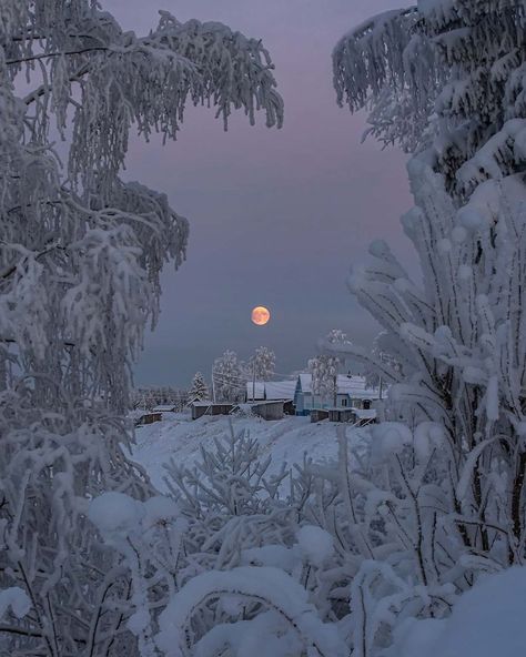 — Arkhangelsk, Russia by Aleksey Yunicyn Full Moon, The Moon, Trees, Moon